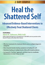 Steve A Johnson - 2-Day Course Heal the Shattered Self