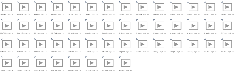 The Institute of Human Performance (IHP) Video Collection
