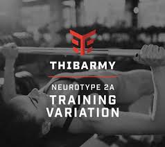 Thibarmy - Neurotype 2A Program - Variation Training