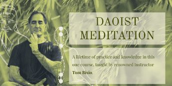 Tom Bisio - Daoist Meditation Online Learning Program