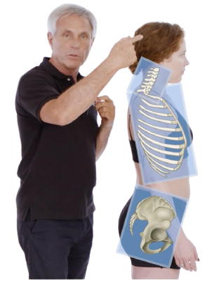 Tom Myers - Anatomy Trains Structural Integration (ATSI) 3 Series