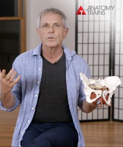 Tom Myers - Deeper Ground: Restoration and Vitality for the Female Pelvis