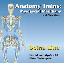 Tom Myers - Technique Series Spiral Line
