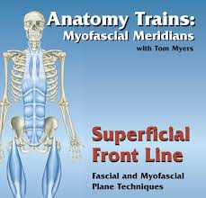 Tom Myers - Technique Series Superficial Front Line