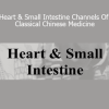 ACCM teaching the Heart and Small Intestine channels in Classical Chinese Medicine for emotional and organ-based healing