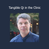 Andrew Nugent-Head’s Tangible Qi in the Clinic course teaches practical methods to sense, cultivate, and apply Qi in clinical practice