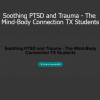 Ariana Vincent teaching techniques to soothe PTSD and trauma through the mind-body connection for Texas massage therapy students
