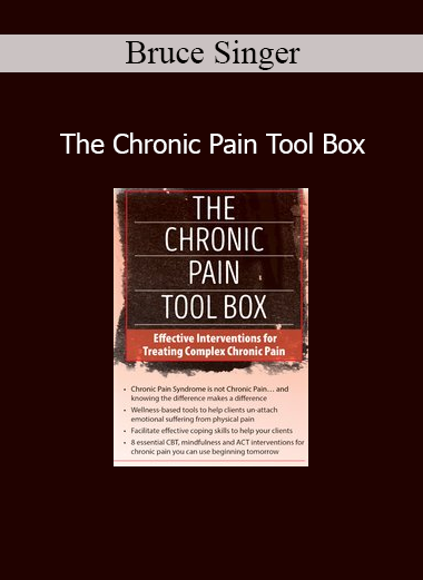 Bruce Singer presenting The Chronic Pain Tool Box training for healthcare and rehabilitation professionals