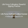 Chris Bale’s Life Force Cultivation course teaches powerful Qigong practices to awaken inner energy and build vitality