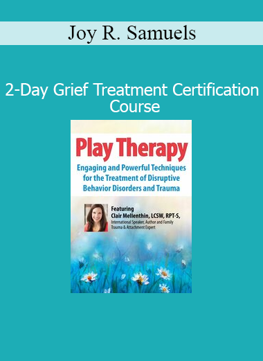 Clair Mellenthin presenting at a 2-day play therapy conference focused on healing through child-centered therapeutic techniques