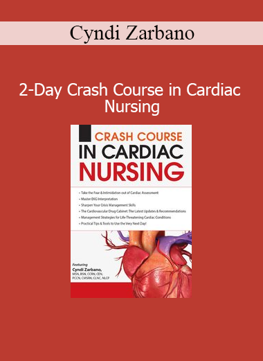 Cyndi Zarbano teaching critical cardiac nursing concepts in an intensive 2-day crash course