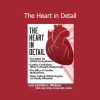 Cynthia L. Webner presenting The Heart in Detail training for mental health and therapy professionals
