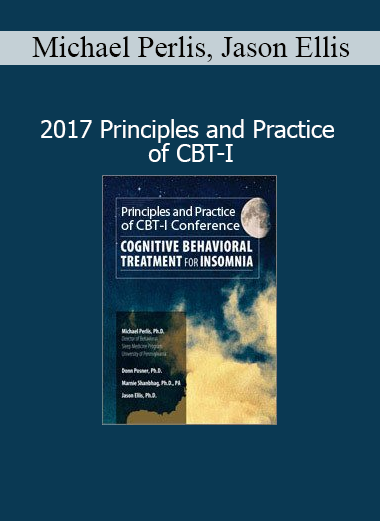 Donn Posner, Michael Perlis, and Jason Ellis presenting the 2017 Principles and Practice of CBT-I for insomnia treatment