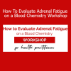 Dr. Bryan Walsh’s workshop teaches how to evaluate adrenal fatigue using functional blood chemistry analysis