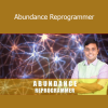Dr. Priyank’s Abundance Reprogrammer course teaches how to rewire your subconscious mind for wealth, prosperity, and abundance