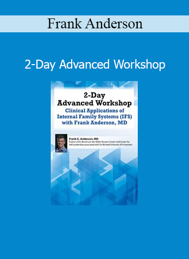 Frank Anderson leading a 2-day advanced workshop on trauma-informed therapeutic practices