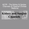 Master Jeffrey Yuen’s course on the Kidney and Sanjiao Channels explores their classical functions in physiology, spirit, and transformation