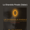 Joe Dispenza - La Ghiandola Pineale Italian course download