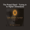 Joe Dispenza - The Pineal Gland Tuning in to Higher Dimensions course download