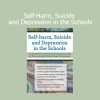 John Bearoff Self-Harm, Suicide and Depression in the Schools course cover