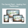 John Malanca presenting The Sacred Plant Healing Pain Masterclass on natural pain relief using plant-based medicine