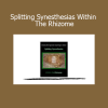 John Overdurf Splitting Synesthesias Within The Rhizome course on multi-sensory perception and nonlinear transformation