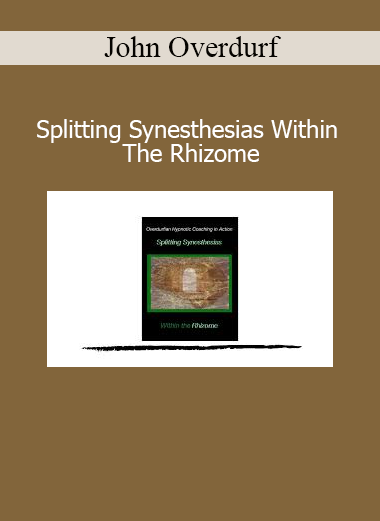 John Overdurf Splitting Synesthesias Within The Rhizome course on multi-sensory perception and nonlinear transformation