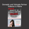 Katelyn Baxter-Musser presenting clinical approaches to addressing domestic and intimate partner violence in Maine