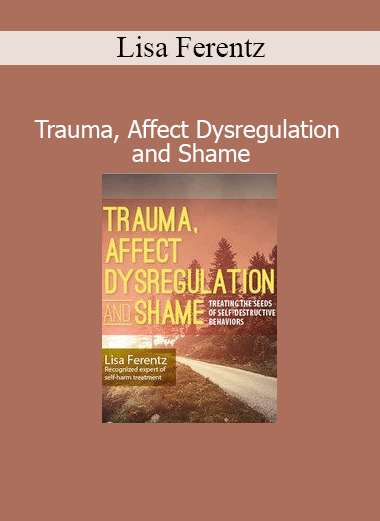Lisa Ferentz presenting Trauma, Affect Dysregulation and Shame training for mental health professionals