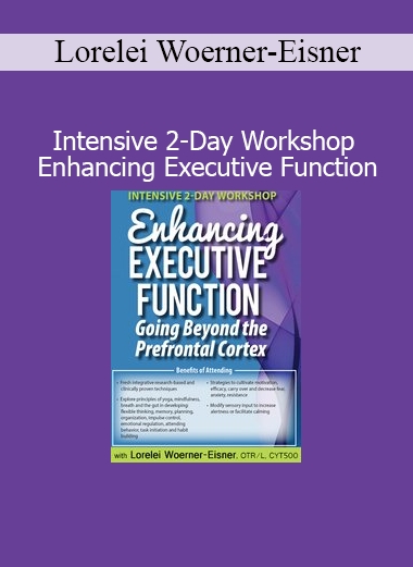 Lorelei Woerner-Eisner teaching strategies to enhance executive function during a 2-day intensive workshop