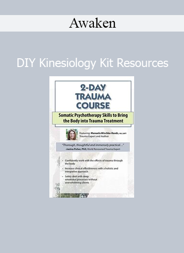 Manuela Mischke-Reeds teaching somatic trauma healing in 2-day professional course