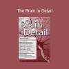 Mary T. Johnson presenting The Brain in Detail training for mental health and neuroscience professionals