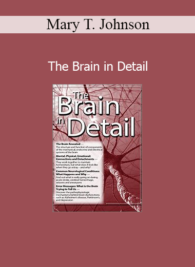 Mary T. Johnson presenting The Brain in Detail training for mental health and neuroscience professionals