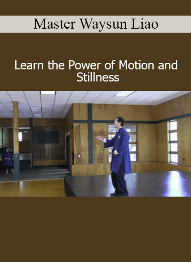 Master Waysun Liao teaching Tai Chi principles of motion and stillness for internal energy and spiritual clarity