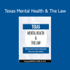 Michael H. Flynn presenting Texas Mental Health & The Law training for mental health and legal professionals
