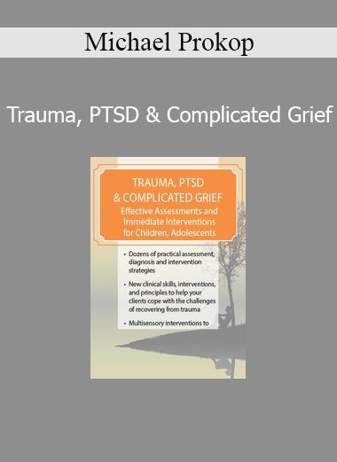 Michael Prokop presenting Trauma, PTSD and Complicated Grief training for mental health professionals