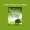 Instructor guiding therapists on integrating mindfulness into clinical practice for healing and mental well-being