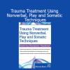 Monica Blum presenting Trauma Treatment using nonverbal, play and somatic techniques for healing
