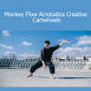 Monkey Flow Acrobatics instructor demonstrating creative cartwheels for dynamic movement and body control