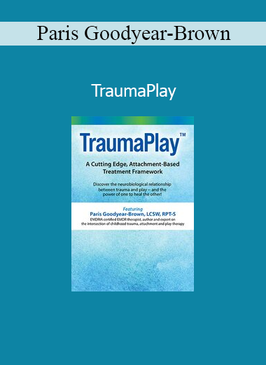 Paris Goodyear‑Brown presenting TraumaPlay training for trauma-informed practice