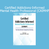 Paul Brasler presenting addictions-informed mental health strategies during CAIMHP certification training