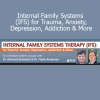 IFS for Trauma, Anxiety, Depression, Addiction – Dr. Richard Schwartz and Dr. Frank Anderson course