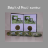 Robert Dilts presenting Sleight of Mouth seminar on persuasive language and belief change techniques