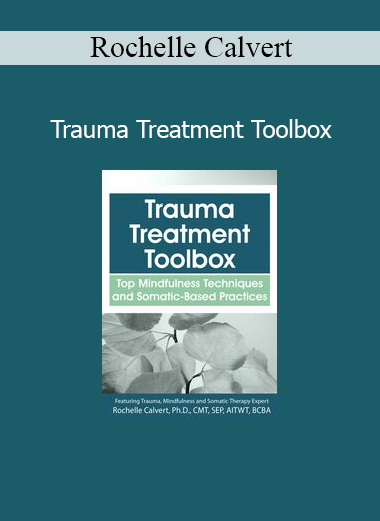 Rochelle Calvert presenting the Trauma Treatment Toolbox training for trauma-informed care