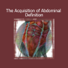 Sapien Medicine - The Acquisition of Abdominal Definition energy-based fat burning and core toning
