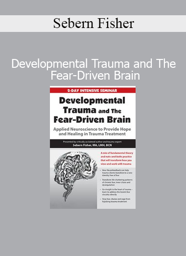 Sebern Fisher teaching neurofeedback and trauma therapy strategies for the fear-driven brain in clinical training