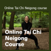 Sifu Neil Rosiak teaching Online Tai Chi Neigong course on internal energy cultivation and meditative movement