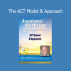 Dr. Steven C. Hayes teaching the core principles of Acceptance and Commitment Therapy (ACT) during a professional training session