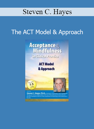 Dr. Steven C. Hayes teaching the core principles of Acceptance and Commitment Therapy (ACT) during a professional training session