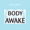Sue Morter teaching Body Awake I foundational practices for energy healing and embodiment